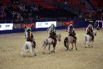 Quadrille - 00156